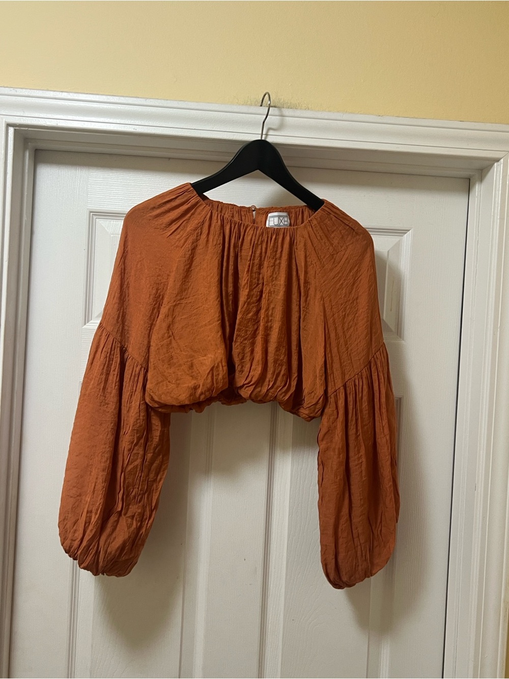 Luxe Rust Orange Balloon-Sleeve Cropped Top